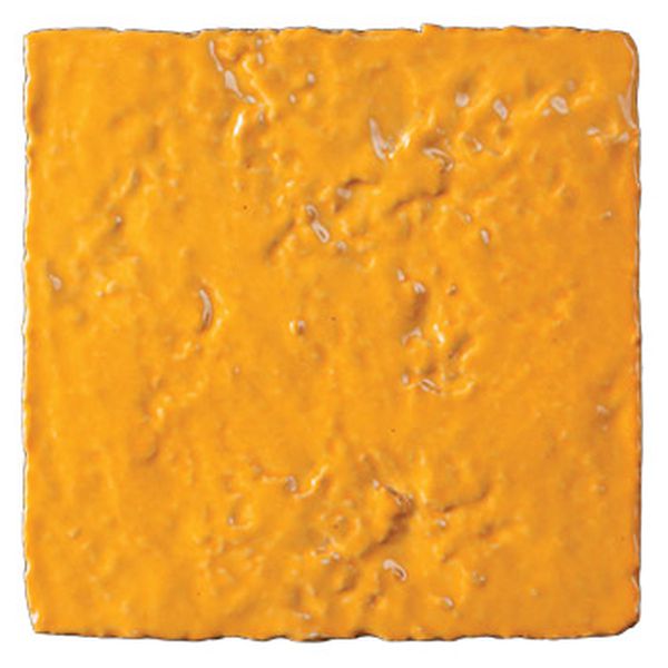 cocci-del-riale-arancio.jpg