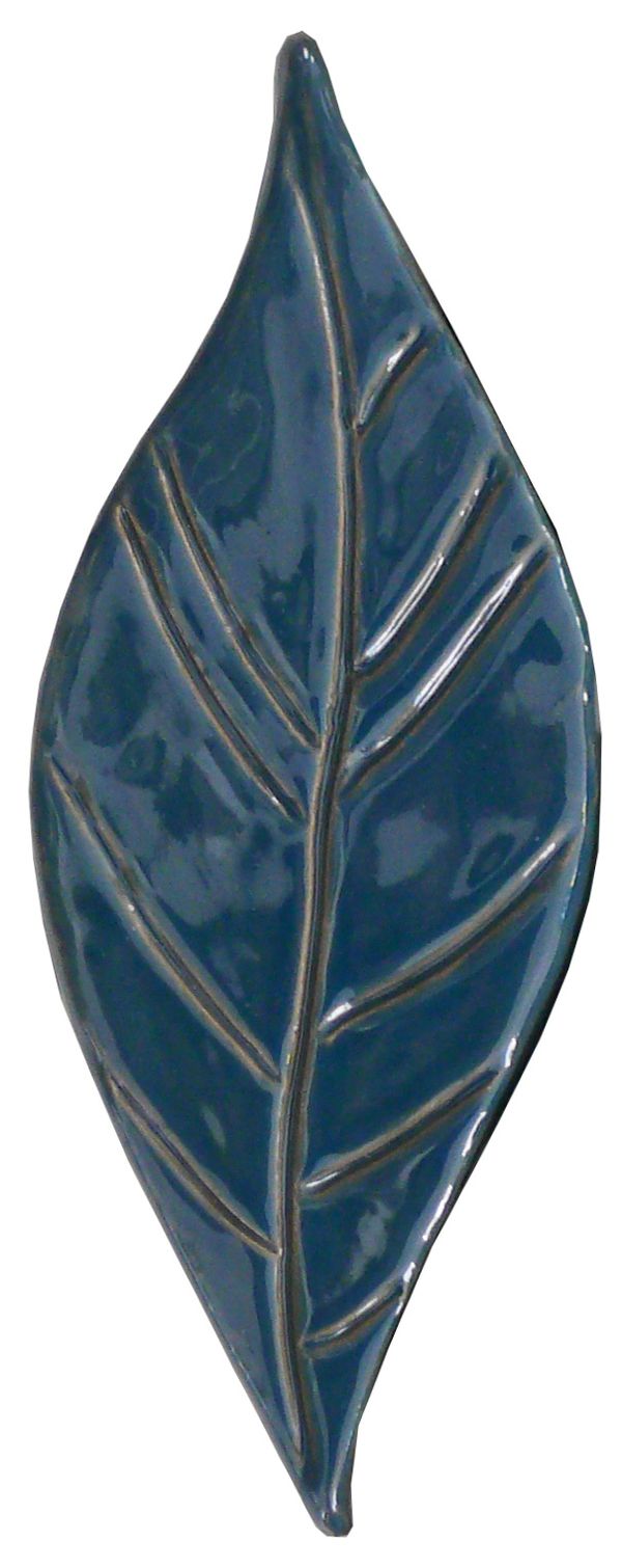 foglia-agave.jpg