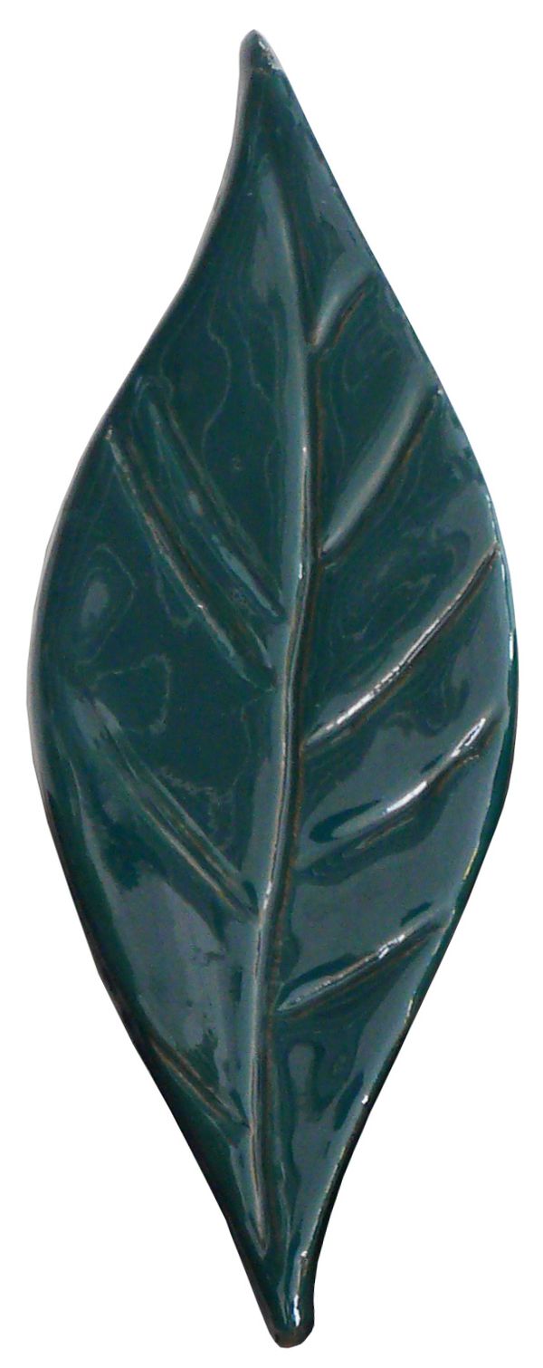 foglia-edera.jpg