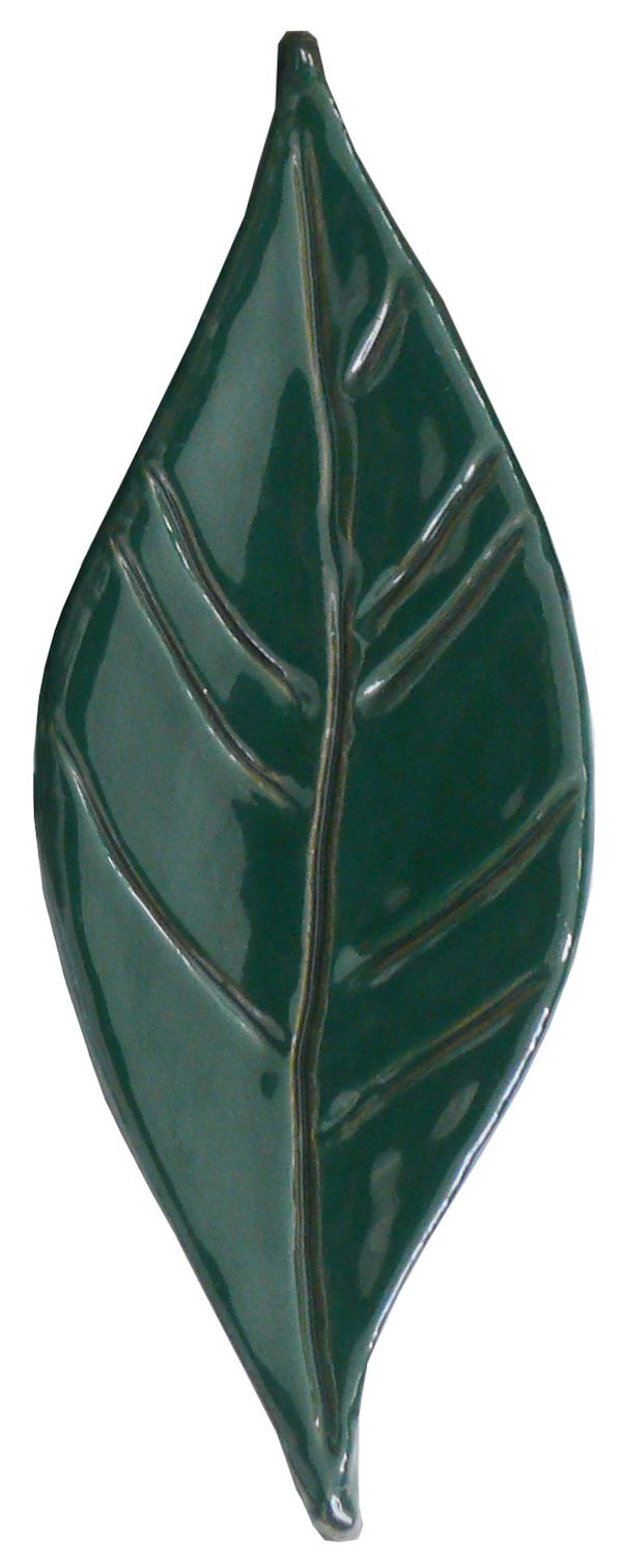 foglia-felce.jpg
