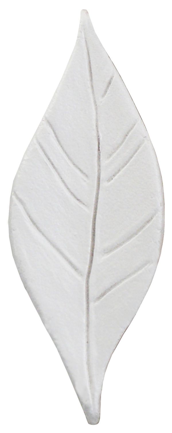 foglia-gesso.jpg