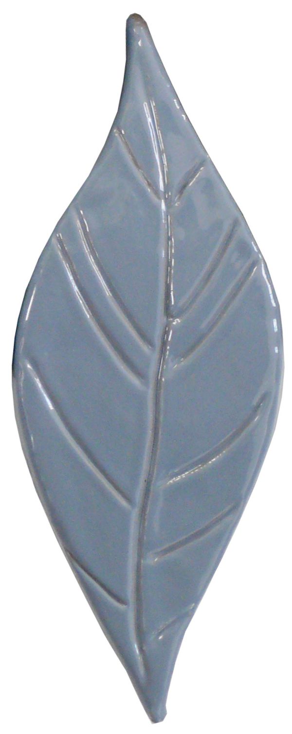 foglia-mirtillo.jpg