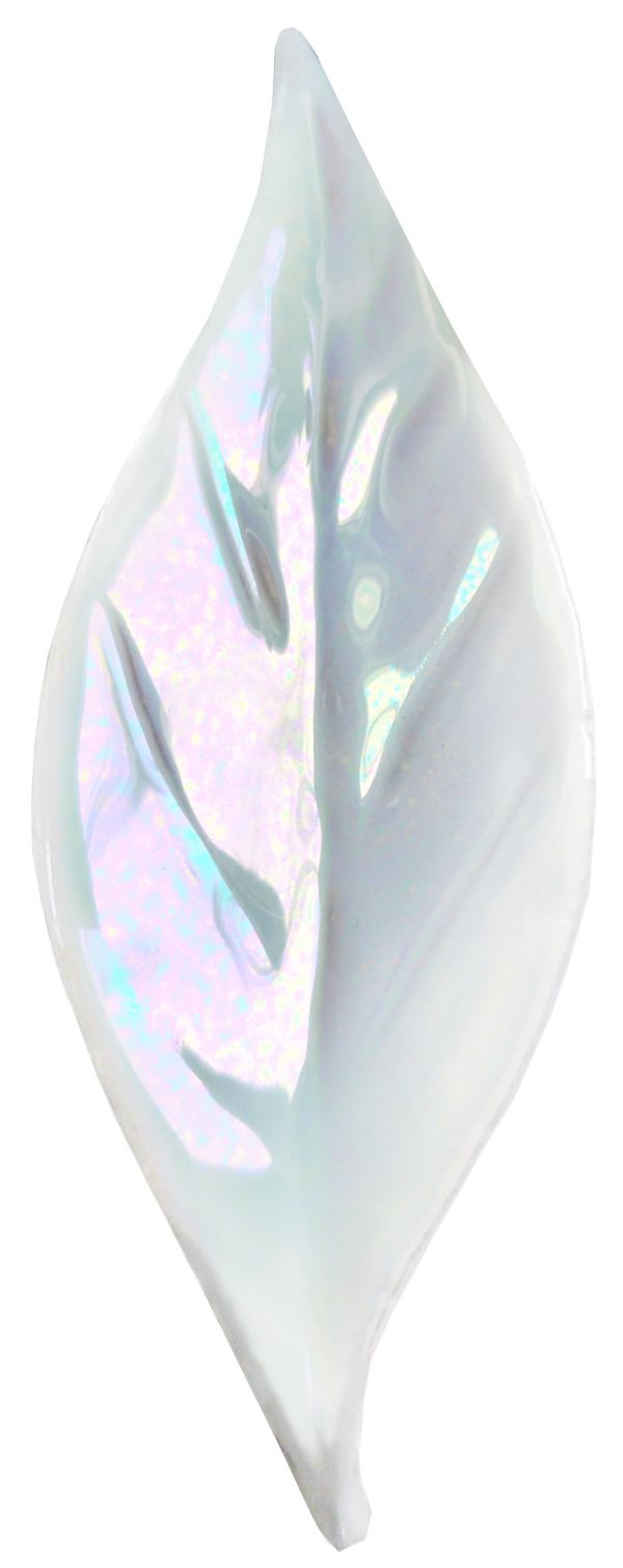 foglia-rainbowwhite.jpg