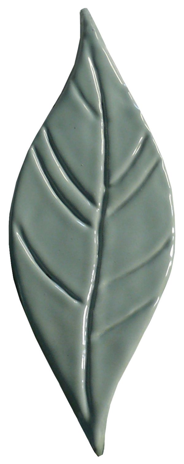 foglia-rosmarino.jpg