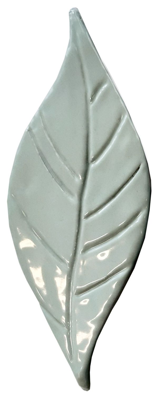 foglia-salvia.jpg