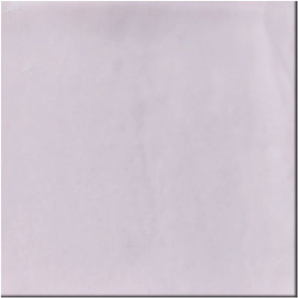 minimale-ninfea_jveMfJt.jpg