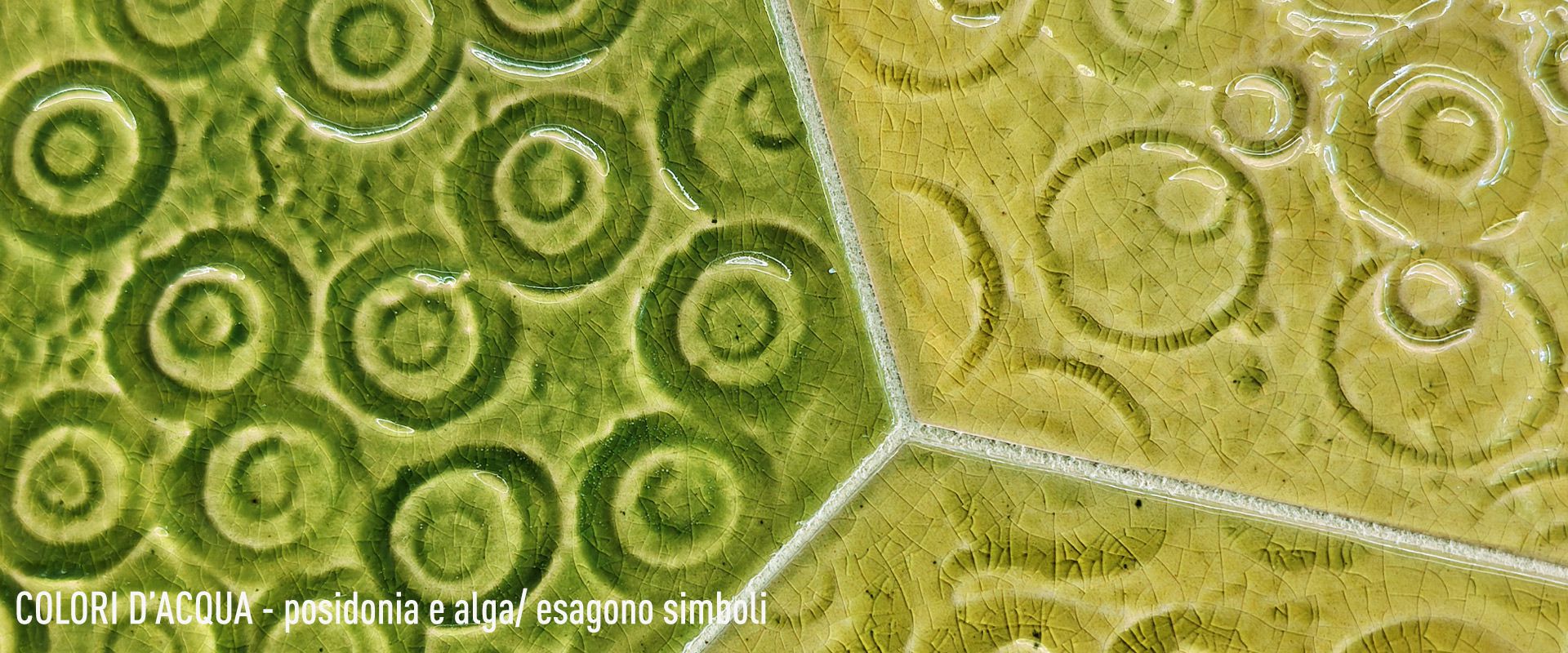 alga-e-posidonia-home-testo.jpg