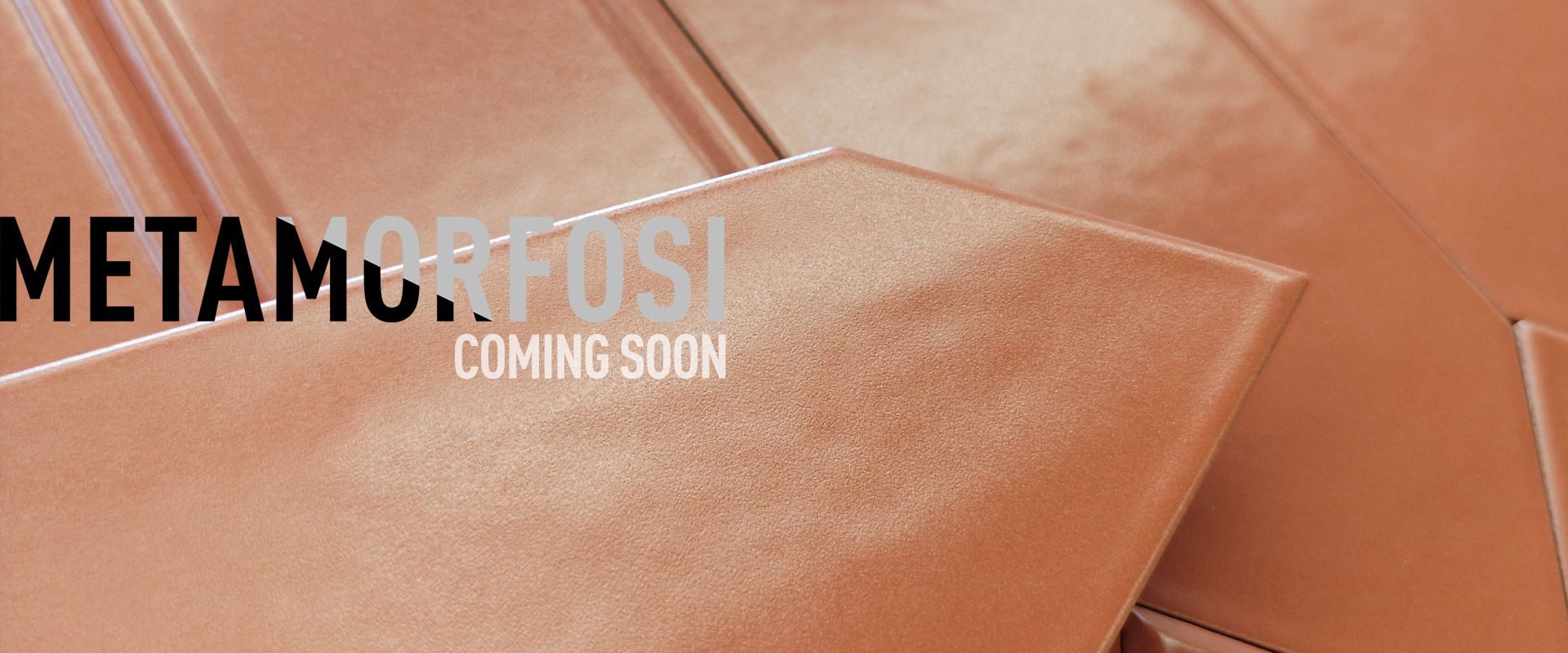 LOSANGHE-COOMING-SOON.jpg